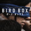 Netflix映画『BIRD BOX/バード・ボックス』のネタバレ・評価レビュー　完全なる消化不良！